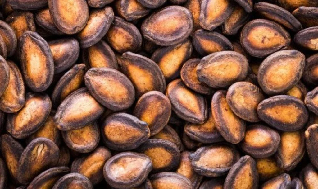 Asla böyle yemeyin! Sindirim sistemini altüst ediyor