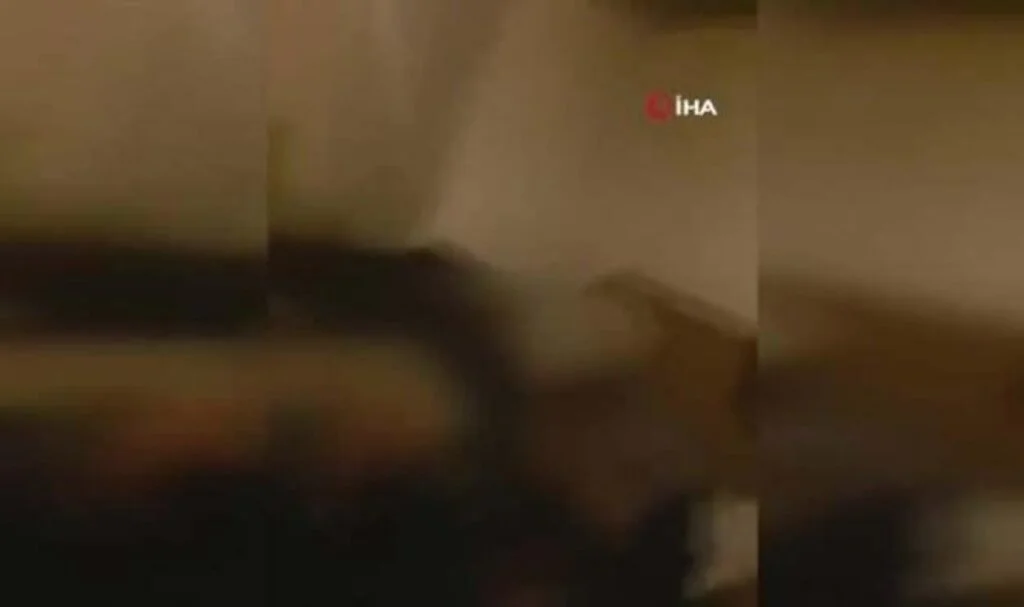 Babası ve babannesini darbedip sosyal medyada paylaştı