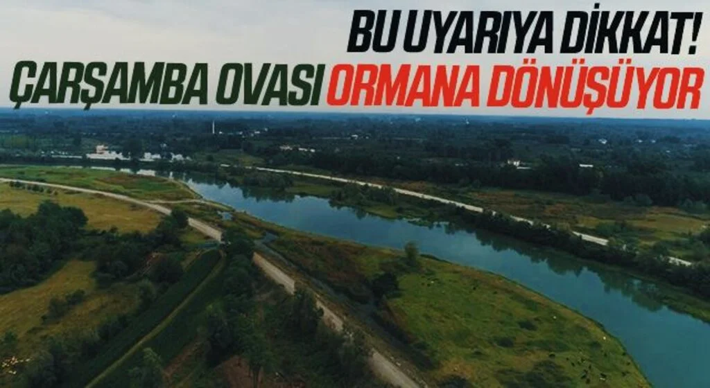 Bu Uyarıya Dikkat! Çarşamba Ovası ormana dönüşüyor 