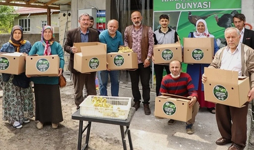 Çarşamba'da üreticiye 2 bin kaz yavrusu desteği
