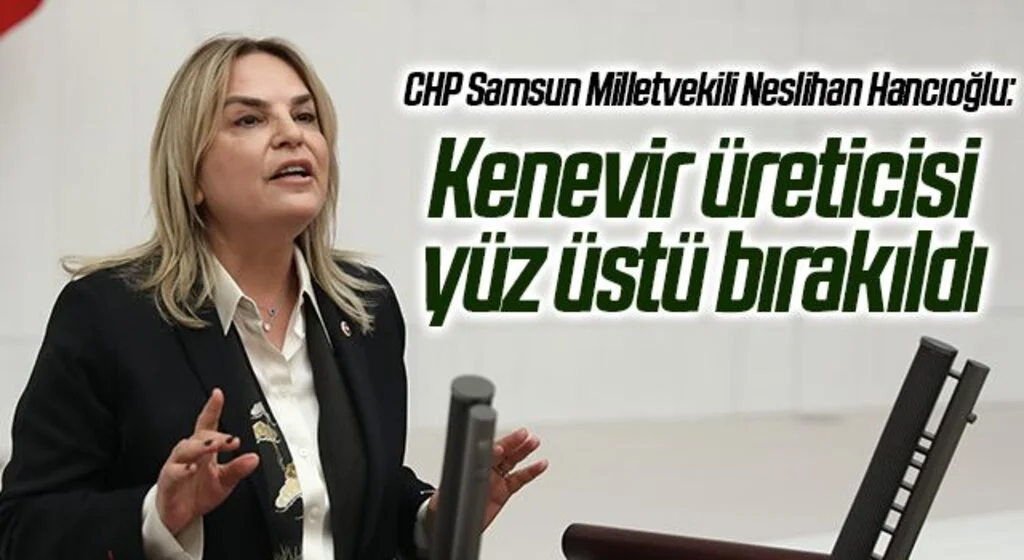 CHP Samsun Milletvekili Neslihan Hancıoğlu: Kenevir üreticisi yüz üstü bırakıldı