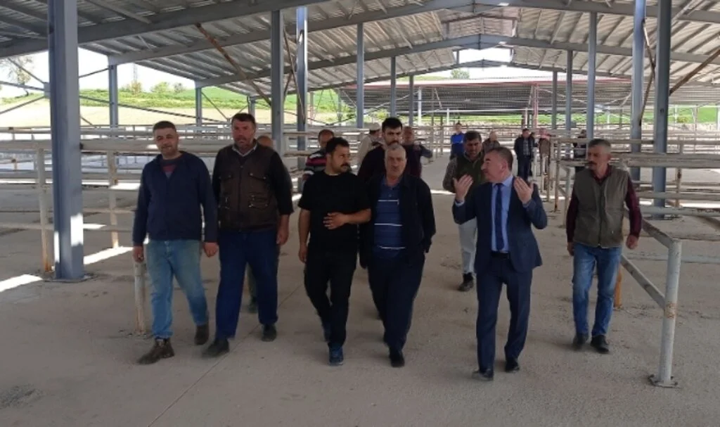 Havza Hayvan Pazarı bayram sonu açılıyor 