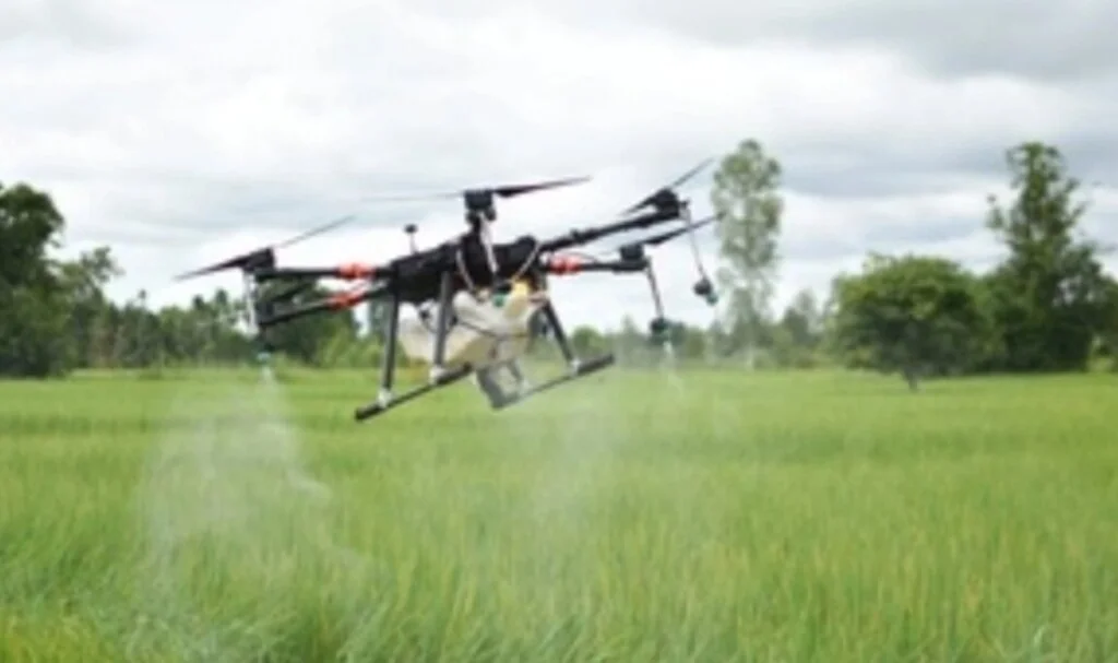 Havzalı çiftçi deneme amaçlı tarlasını zirai dron ile ilaçladı