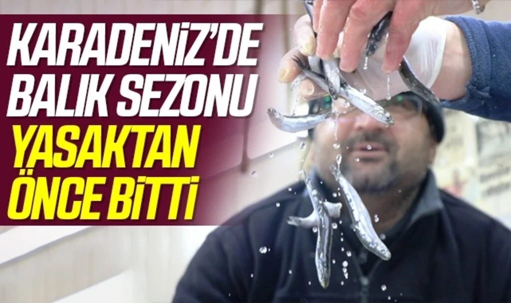 Karadeniz’de balık sezonu yasaktan önce bitti
