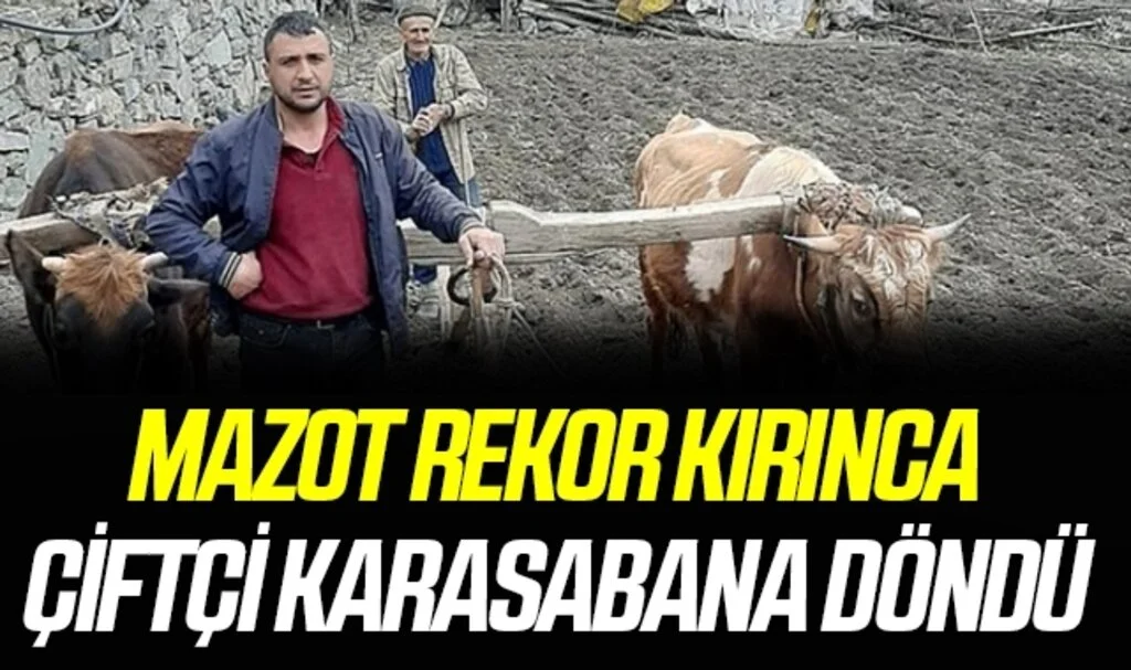 Mazot rekor kırınca çiftçi karasabana döndü