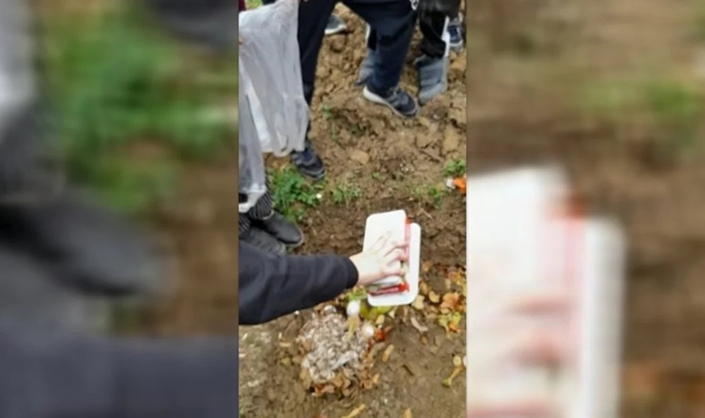 Öğrenciler 'çevre' dersinde 