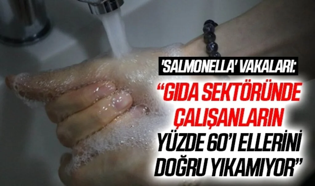 'Salmonella' vakaları: “Gıda sektöründe çalışanların yüzde 60’ı ellerini doğru yıkamıyor”