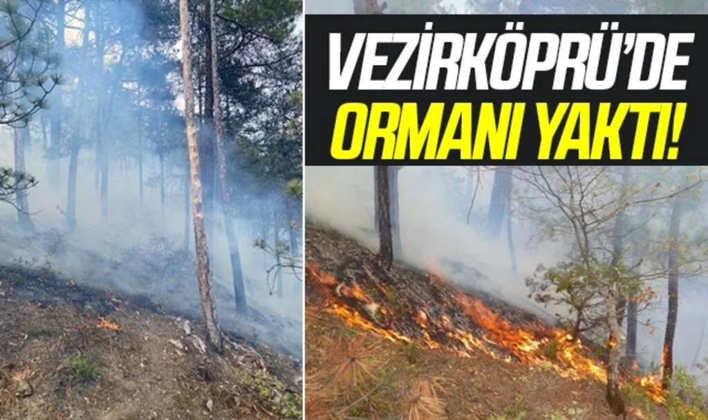 Akli dengesi bozuk şahıs Samsun Vezirköprü'de ormanı yaktı!
