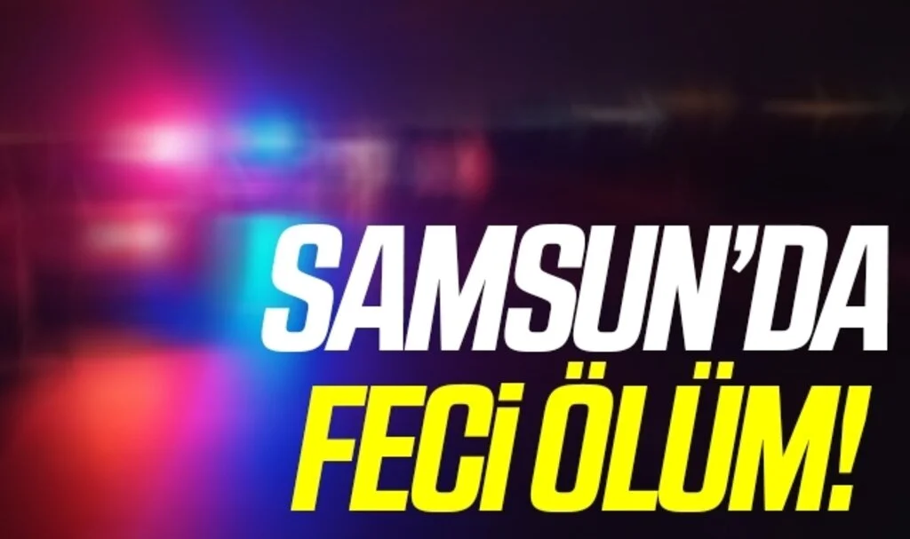 Samsun'da Arıza yapan tırın sürücüsü otomobilin çarpması sonucu öldü