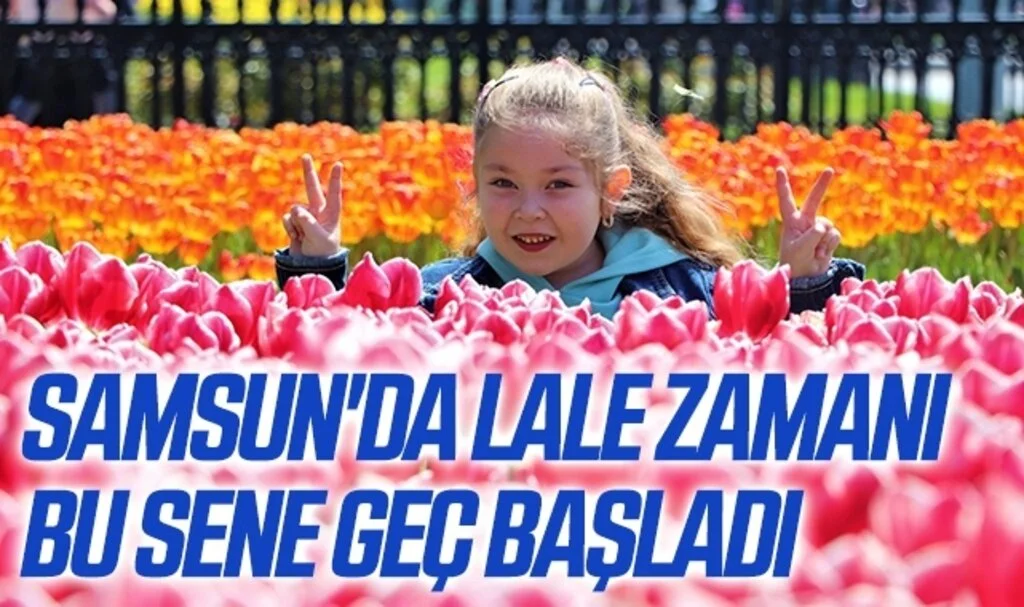 Samsun'da lale zamanı bu sene geç başladı