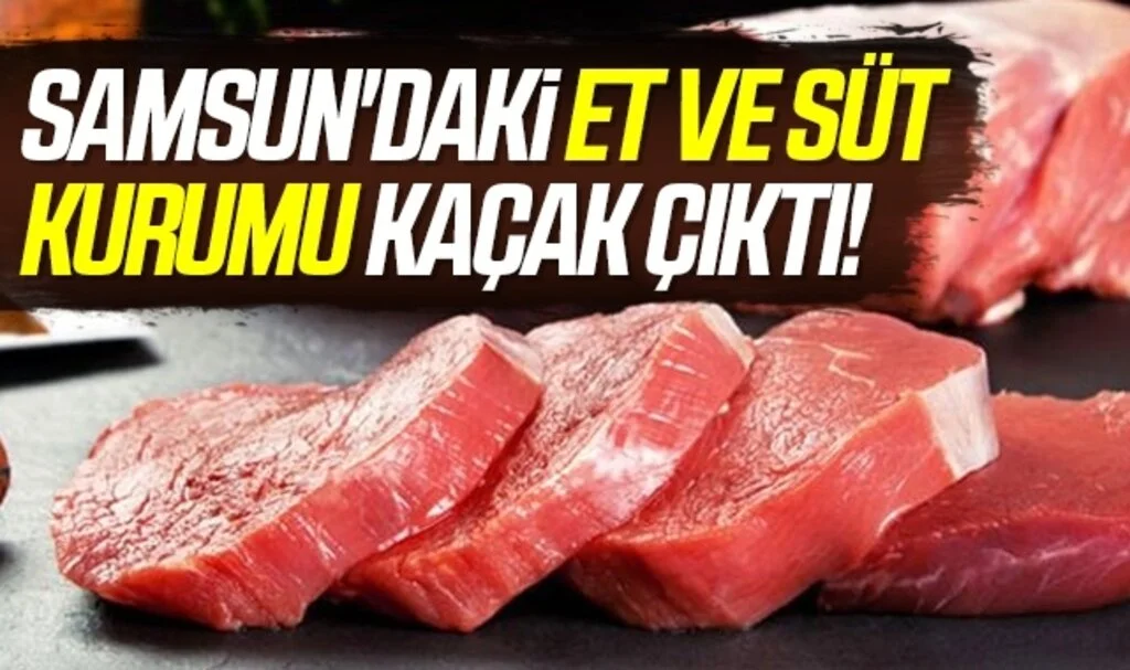 Samsun'daki Et ve Süt Kurumu Kaçak Çıktı!