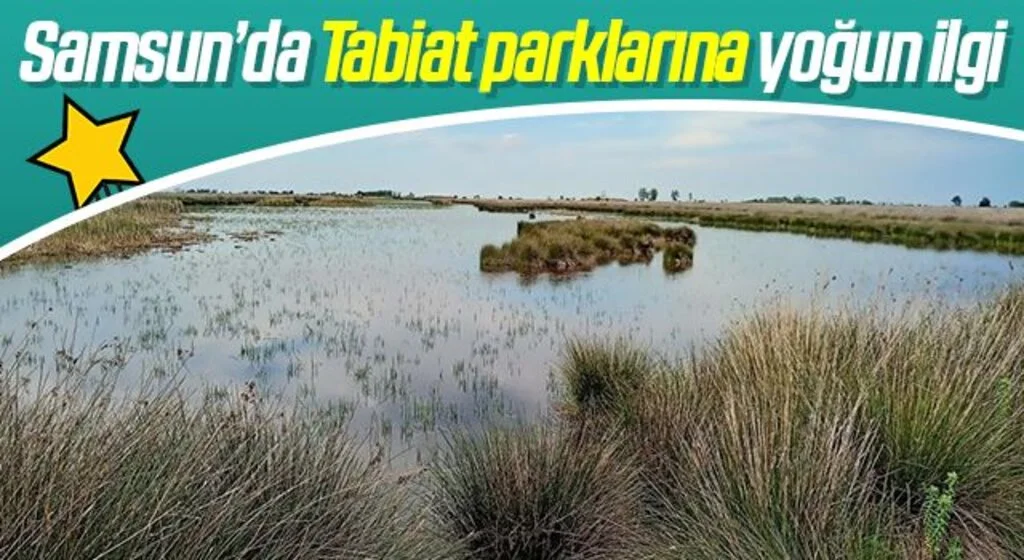 Samsun'da Tabiat parklarına yoğun ilgi