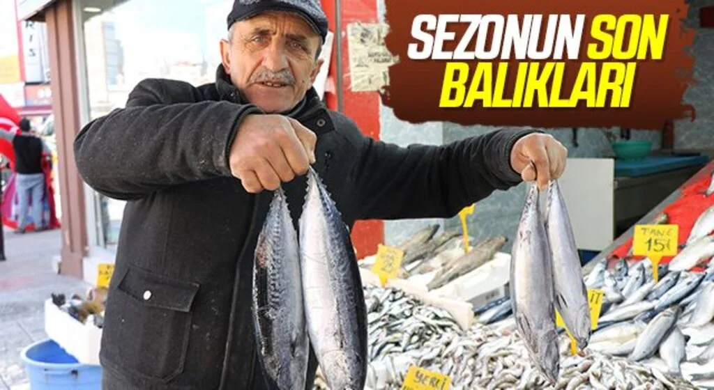 Sezonun son balıkları 15-30 TL arasında tezgahlarda