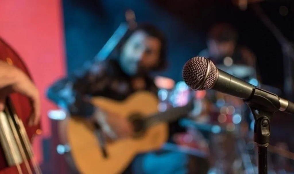 Süleyman Soylu’dan müzik yasağı açıklaması