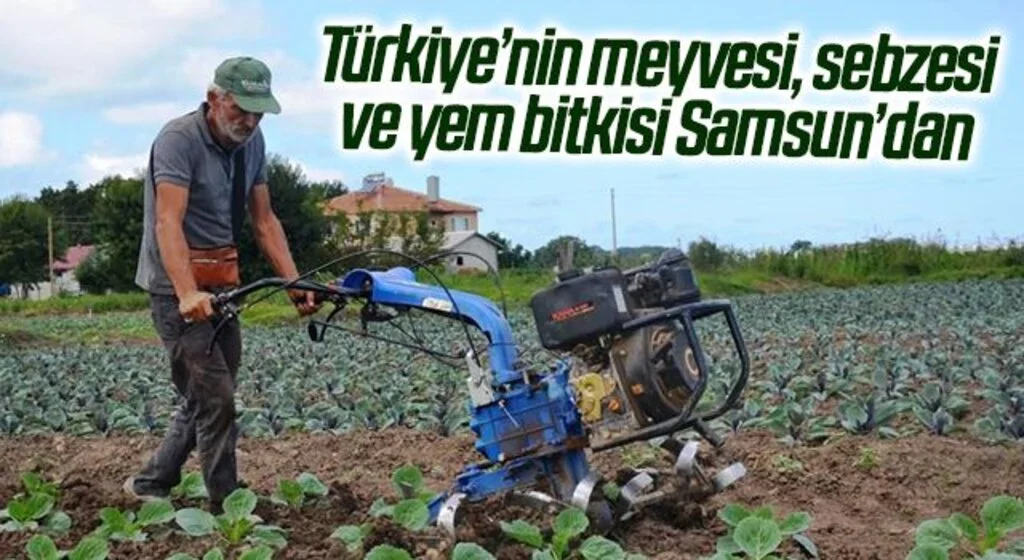 Türkiye’nin meyvesi, sebzesi ve yem bitkisi Samsun’dan