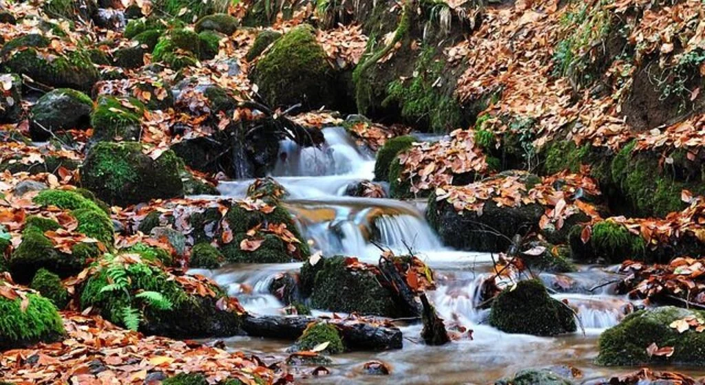 Ünlü Mutfağı ve Lezzetleriyle: Bolu