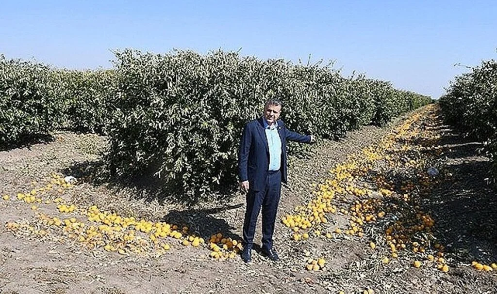 Afrika sıcakları tarıma son darbeyi vurdu