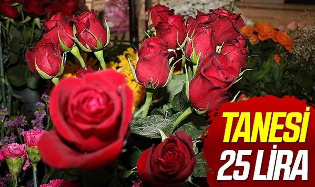 Anneler Günü’nde gülün adeti 25 TL