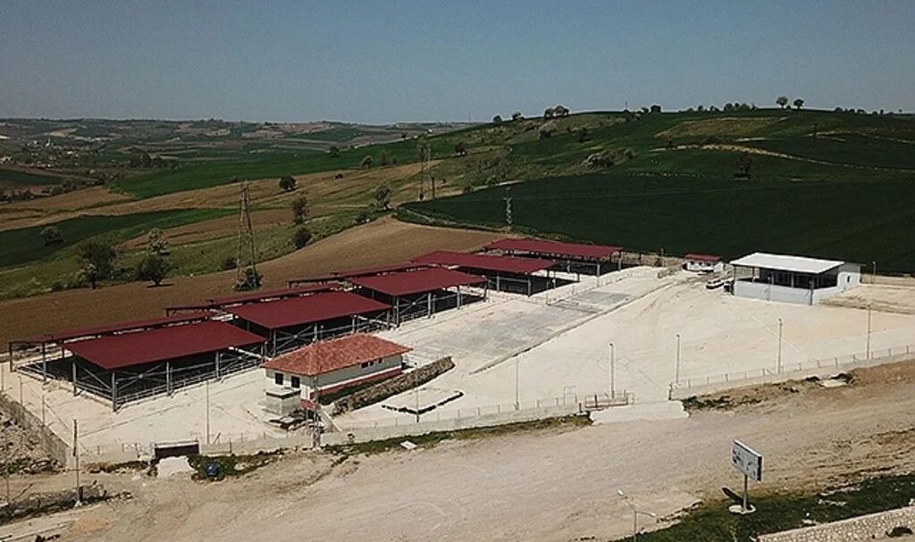 Havza Hayvan Pazarı'na kavuştu 