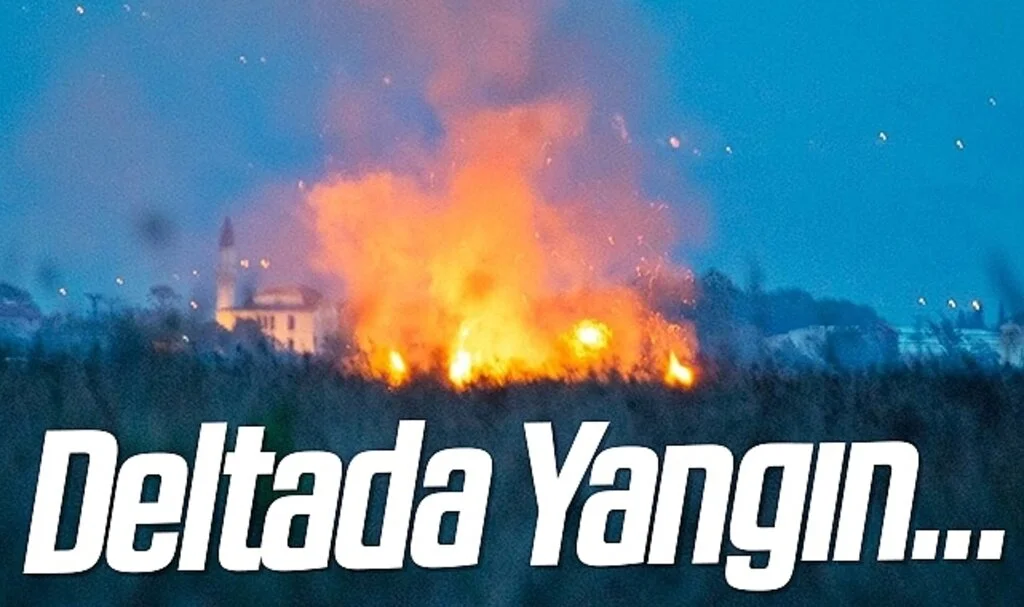 Kızılırmak Deltası'nda çıkan yangın büyümeden söndürüldü