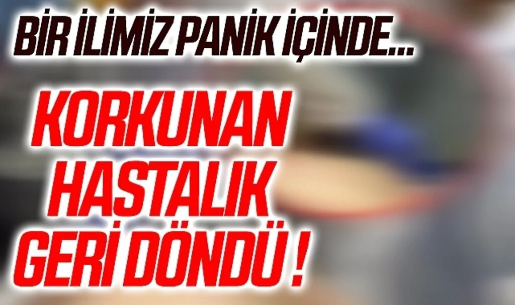 Korkulan hastalık geri döndü! Kırım Kongo Kanamalı Ateşi'nden (KKKA) yılın ilk ölümü gerçekleşti