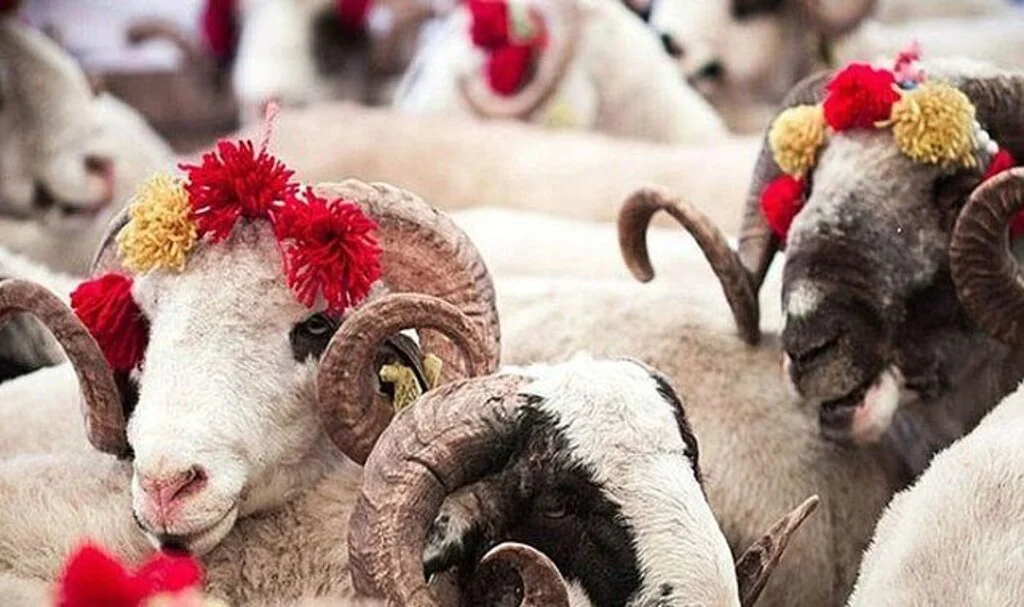 KURBAN BAYRAMI TATİLİ! Kurban Bayramı ne zaman? Kurban Bayramı tatili kaç gün olacak?