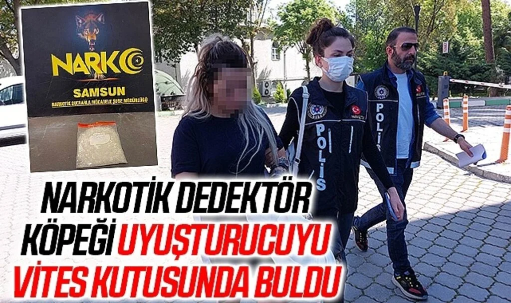 Narkotik dedektör köpeği uyuşturucuyu vites kutusunda buldu: 2 gözaltı