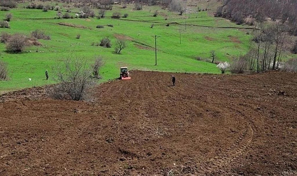 Ordu'da 3 yılda 17 bin 500 dönüm arazi tarıma kazandırıldı