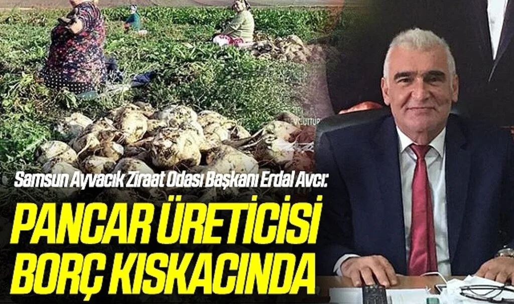 Samsun Ayvacık Ziraat Odası Başkanı Erdal Avcı: Pancar üreticisi borç kıskacında
