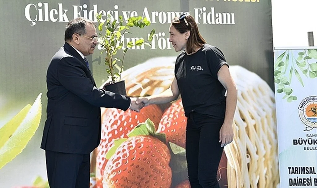 Samsun’da 500 bin çilek fidesi, 11 bin 880 aronya fidanı dağıtıldı