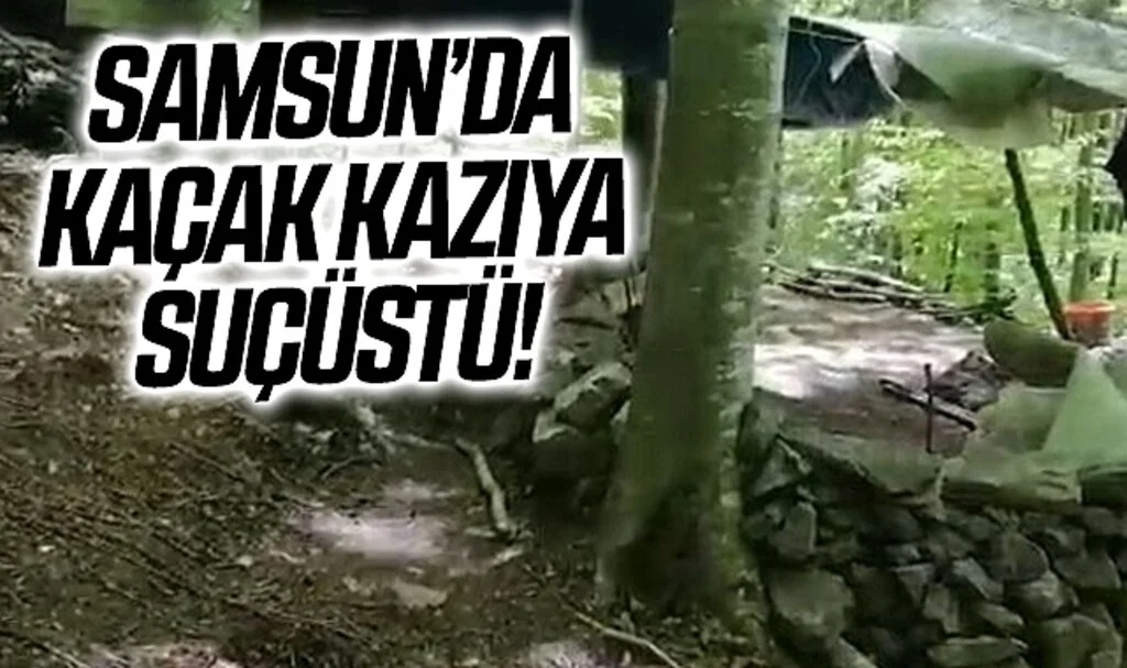 Samsun'da Ormanlık alanda kaçak kazı yapan şahıs jandarmaya yakalandı