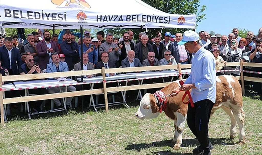  Samsun Havza'da yayla şenliği