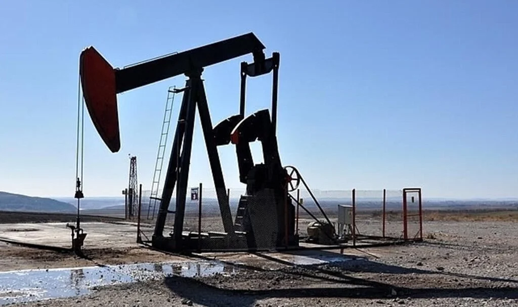 TPAO'ya Mardin ve Şırnak'ta petrol arama ruhsatı verildi