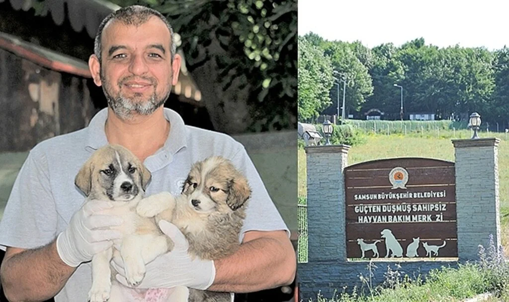  Barınakta anne ve  yavrular için özel bölüm 