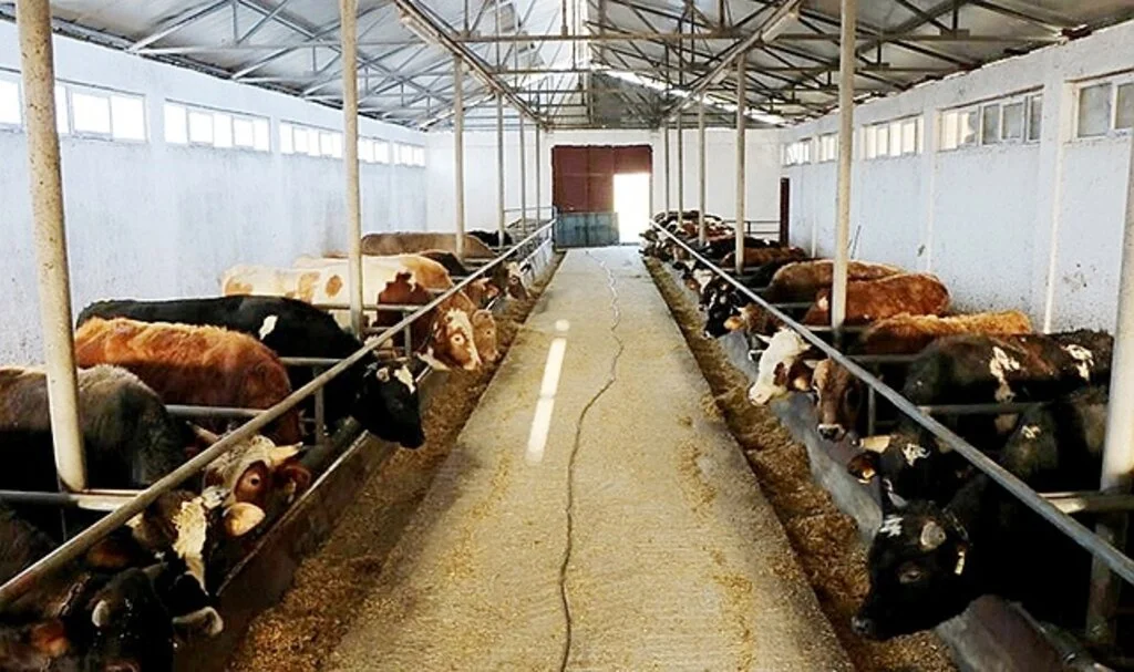 Besiciler uyardı, kurbanlık hisse satan marketlere dikkat