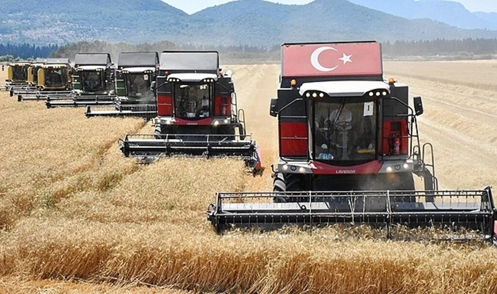 Dalaman TİGEM'de yerli tohum buğdayın hasadına başlandı