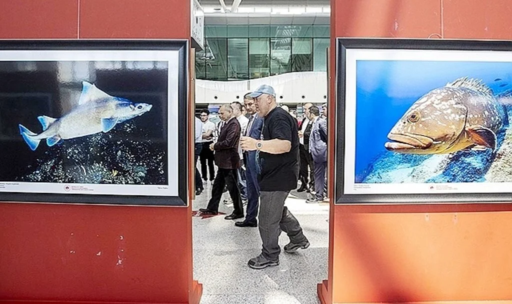 Dünyadaki deniz canlıları, "Küresel İklimin Derin Etkisi" sergisinde bir araya geldi