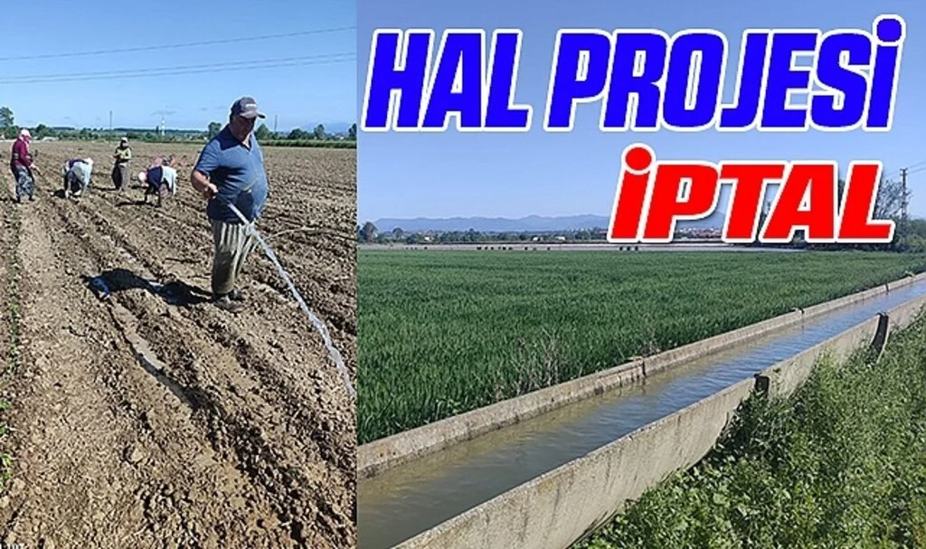 Hal Projesine Bir İptal Daha