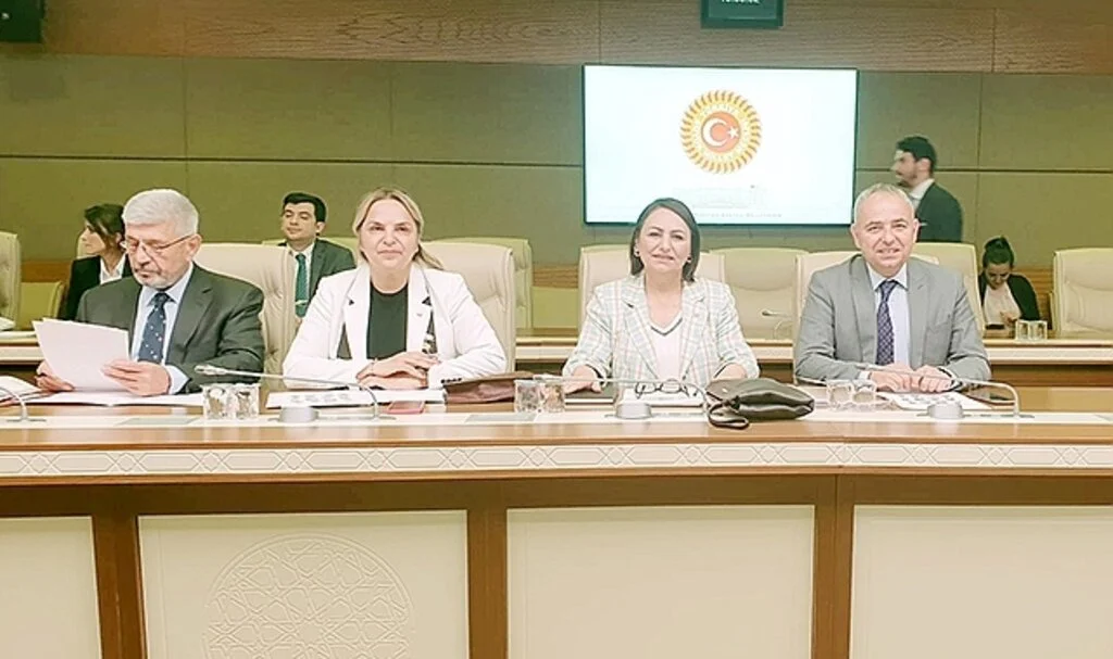 Hancıoğlu: 'Türkiye yaşlanıyor'