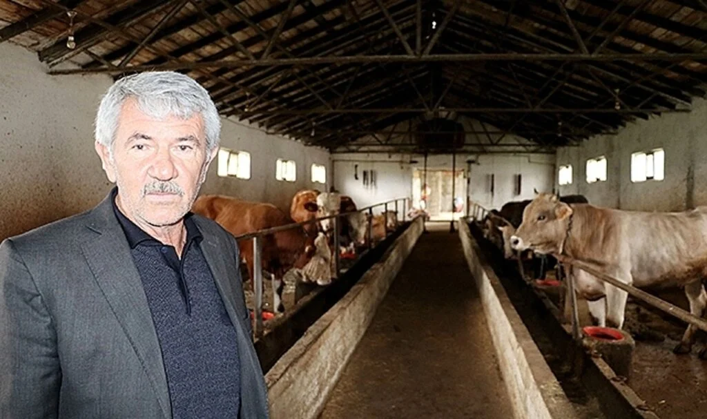 Havza Ziraat Odası Başkanı Genç'ten "damızlıkların kurbanlık yapılmaması" uyarısı