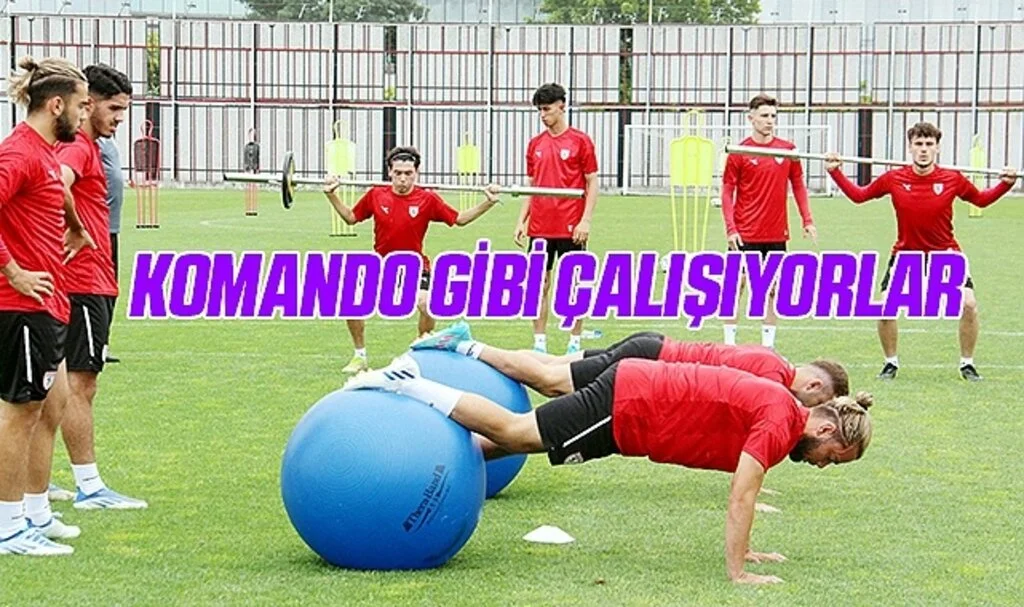 Komando Gibi Çalışıyorlar