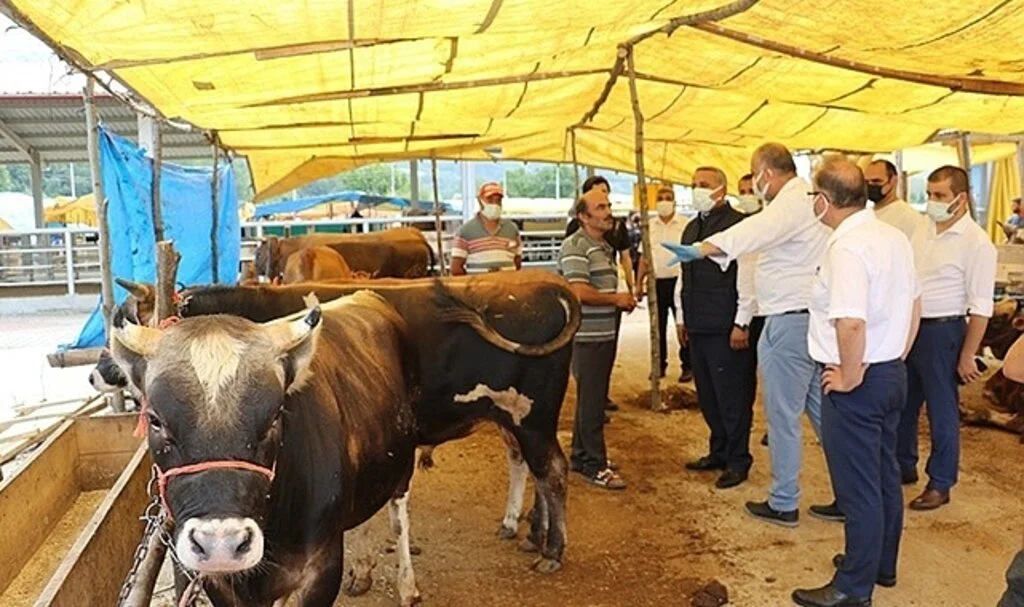 Kurbanlık hayvan alış, satış ve kesimlerinde dikkat edilecek hususlar