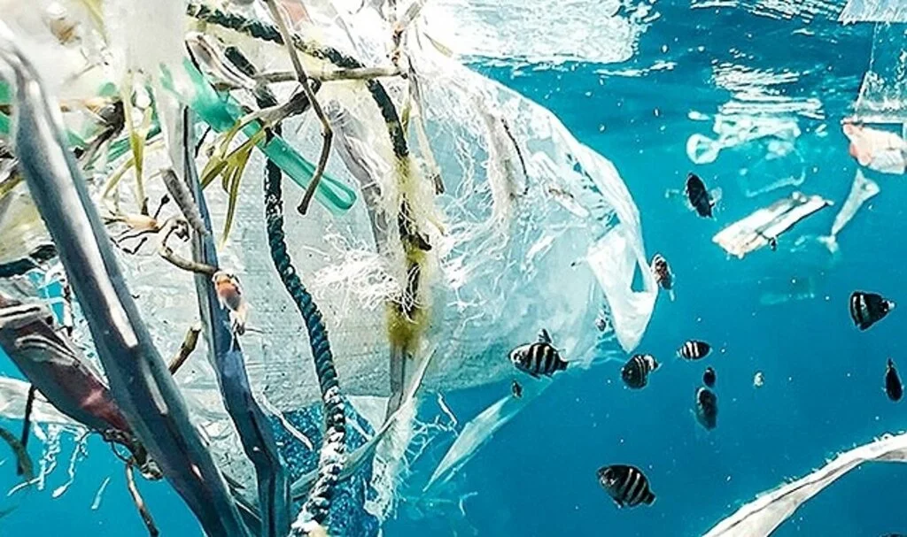 Plastik atıklar ve küresel ısınma nedeniyle okyanuslar alarm veriyor