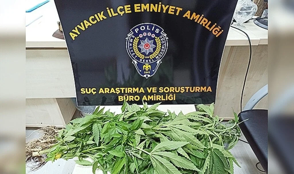 Samsun Ayvacık'ta Uyuşturucu Operasyonunda 1 Kişi Tutuklandı