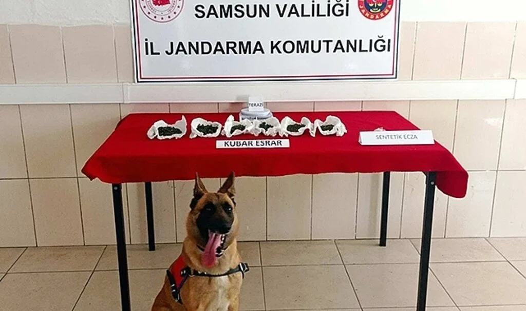 Samsun'da 37 zehir taciri yakalandı 
