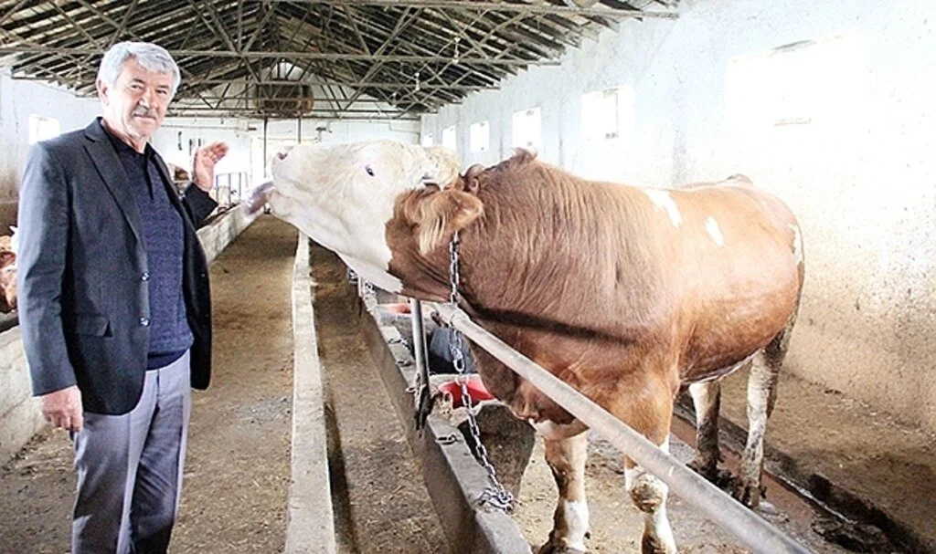 Ziraat Odası Başkanı Genç: 'Maliyetler yüksek fiyatlara yansıyor'