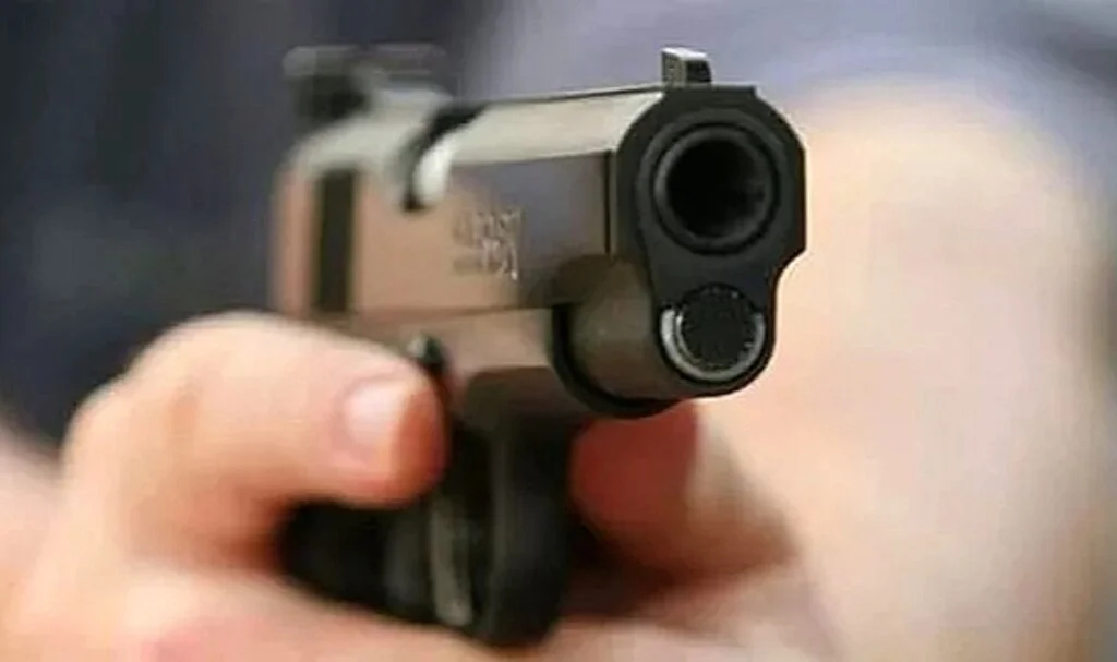 15 yaşındaki genç, 3 kardeşini öldürdü