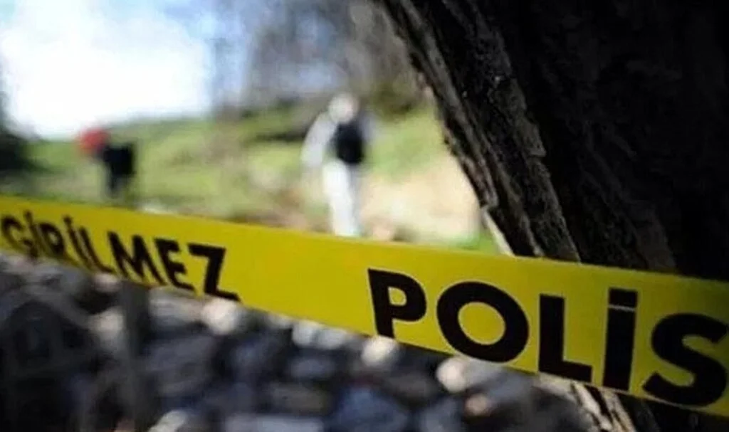 Ağaçtan düşen genç ağır yaralandı