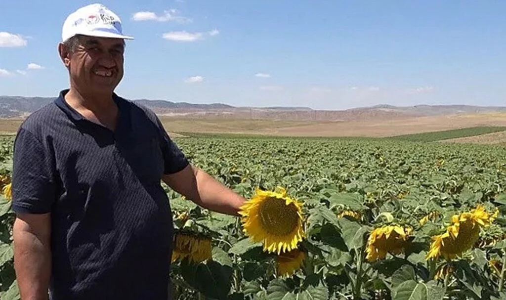 Ayçiçek yağında yüzleri güldüren gelişme! Fiyatlar artarken çiftçilerden güzel haber geldi