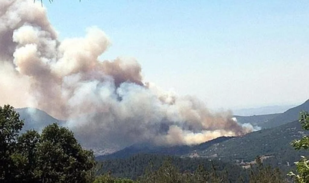 Balıkesir'de de orman yangını başladı